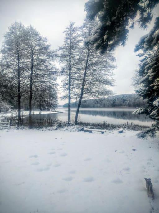 Przystanek Golubie Villa Eksteriør bilde