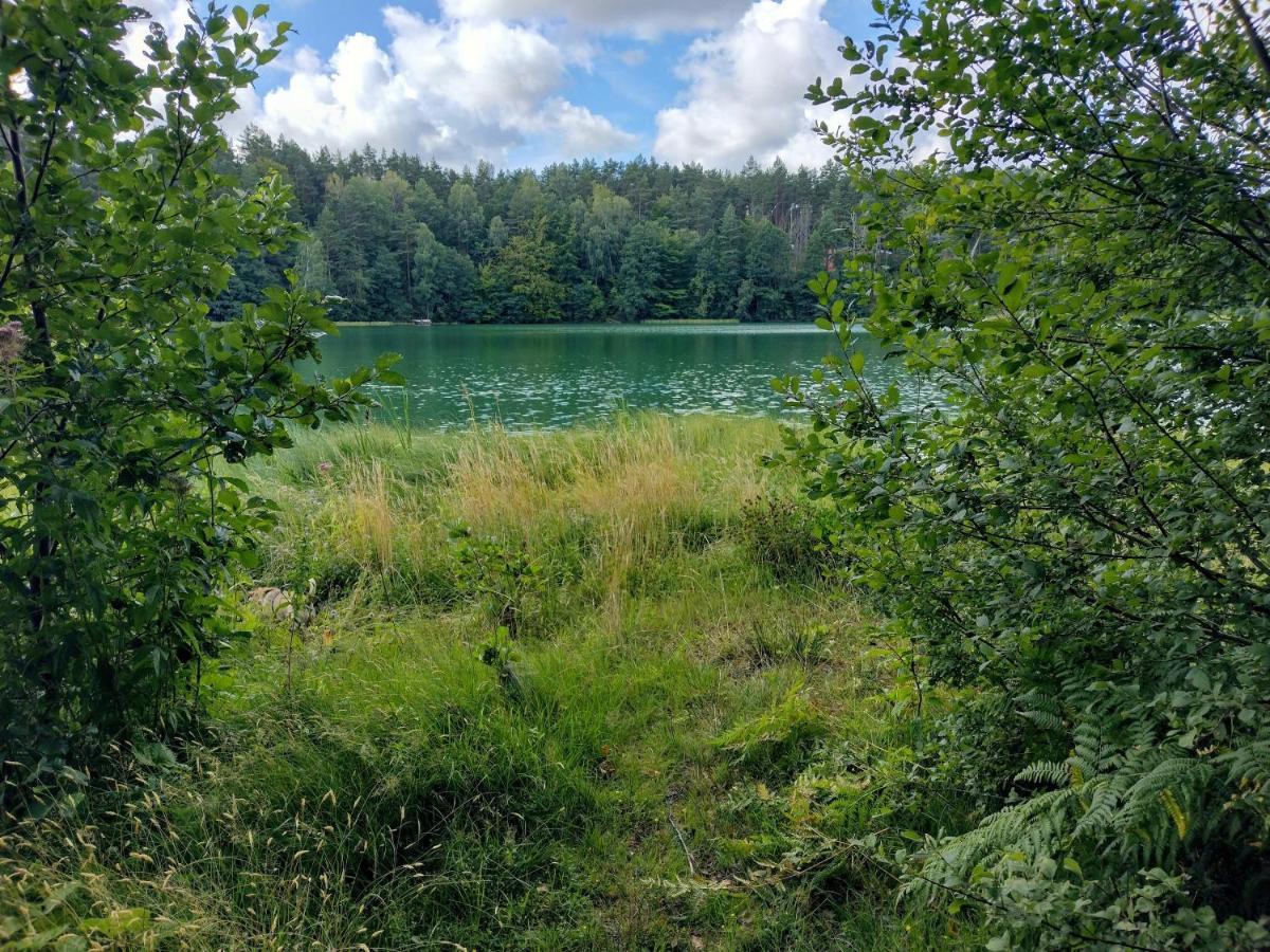 Przystanek Golubie Villa Eksteriør bilde